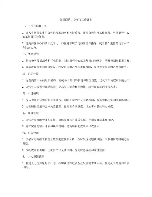 集团商管中心年度工作计划