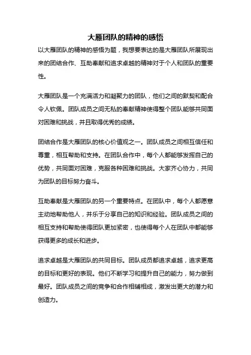 大雁团队的精神的感悟