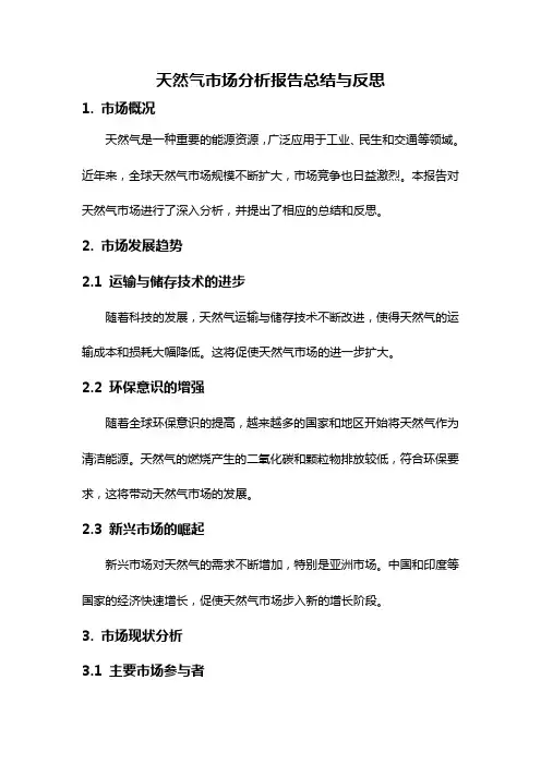 天然气市场分析报告总结与反思