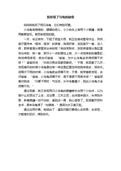 我发现了乌龟的秘密