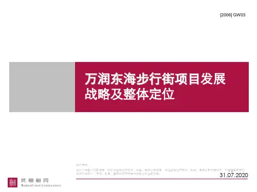 江苏东海步行街项目整体定位与发展战略
