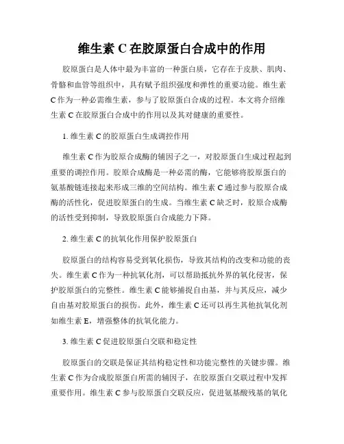 维生素C在胶原蛋白合成中的作用