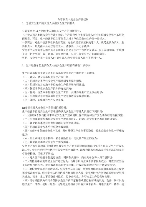 分管负责人安全生产责任制安全生产