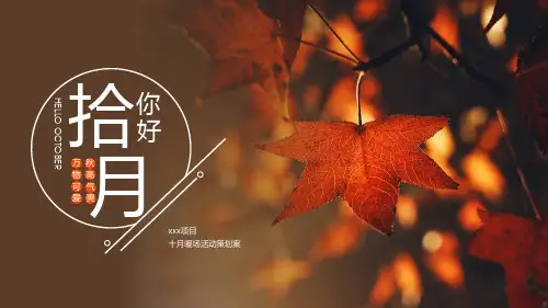 地产项目秋季10月月度暖场(金秋十月寻觅秋季主题)活动策划方案