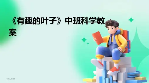 《有趣的叶子》中班科学教案(2024)