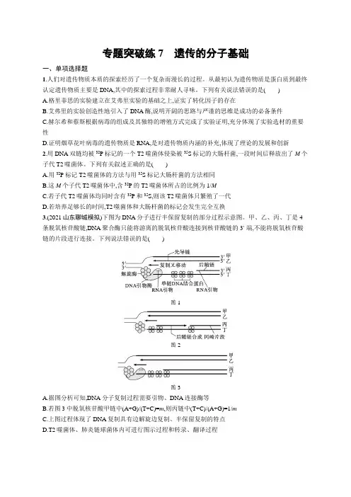 高考复习(生物)专项练习：遗传的分子基础【含答案及解析】