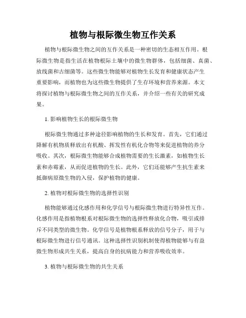植物与根际微生物互作关系