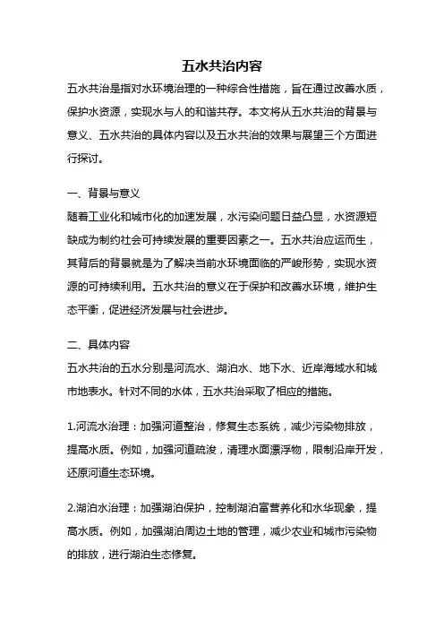 五水共治内容