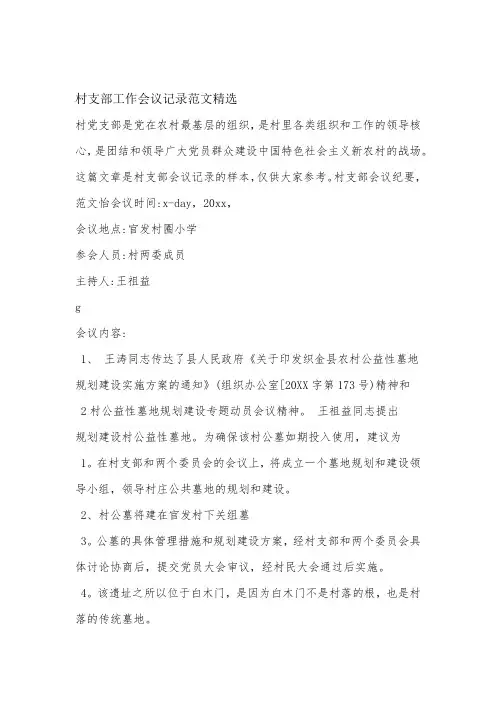 村支部工作会议记录范文精选
