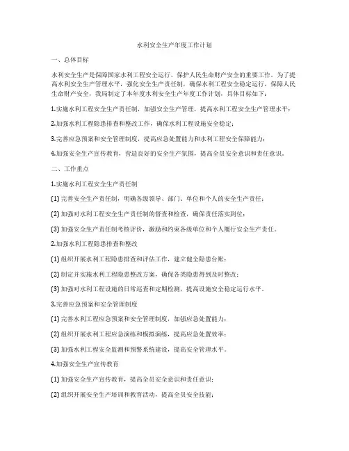 水利安全生产年度工作计划