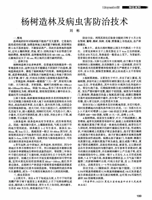 杨树造林及病虫害防治技术