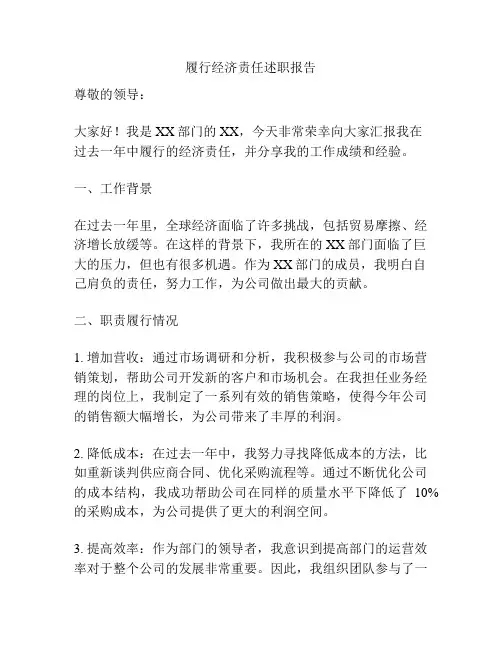 履行经济责任述职报告