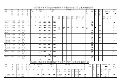 陕西神木神源煤炭张家峁煤矿资源整合井巷工程巷道断面特征表