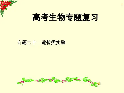 高考生物专题复习 专题20 遗传类实验