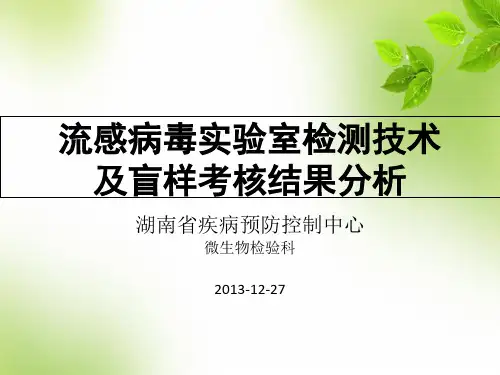 流感病毒实验室检测 PPT