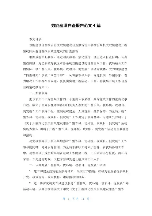 效能建设自查报告范文4篇