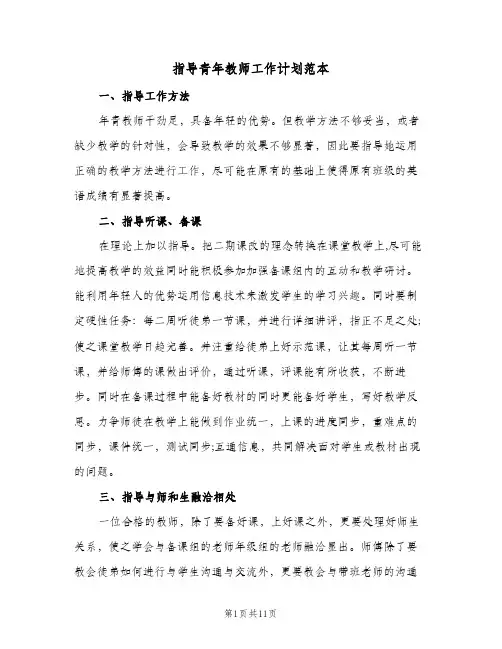 指导青年教师工作计划范本(6篇)