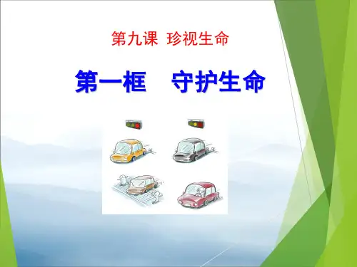 《守护生命》PPT课件【优秀课件PPT】