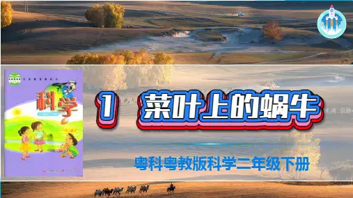 粤科粤教版科学二年级下册1菜叶上的蜗牛PPT课件