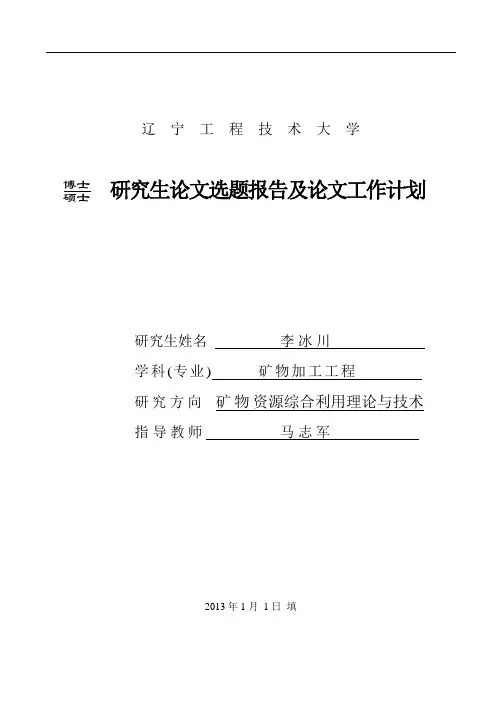 李冰川的开题报告概论