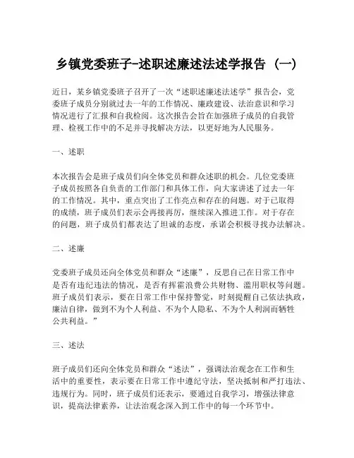 乡镇党委班子-述职述廉述法述学报告 (一)