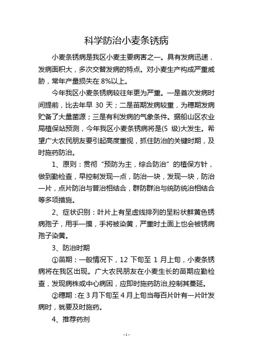 科学防治小麦条锈病