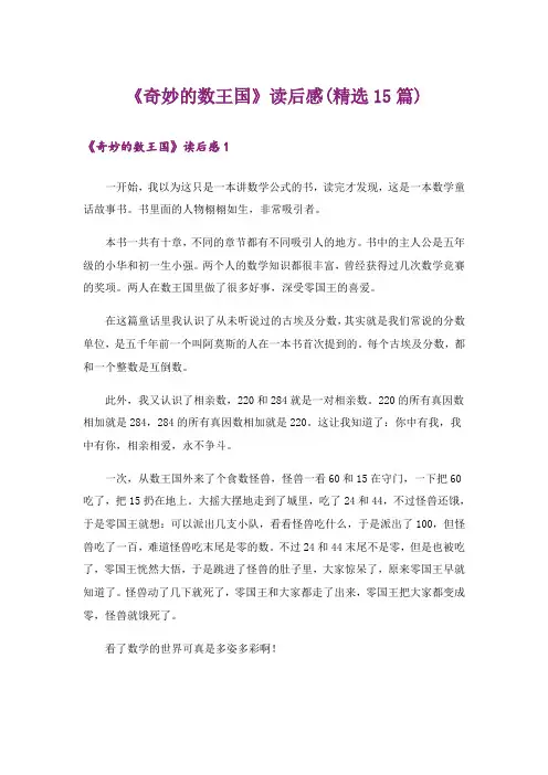 《奇妙的数王国》读后感(精选15篇)