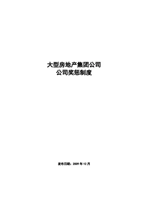 大型房地产集团公司：公司奖惩制度