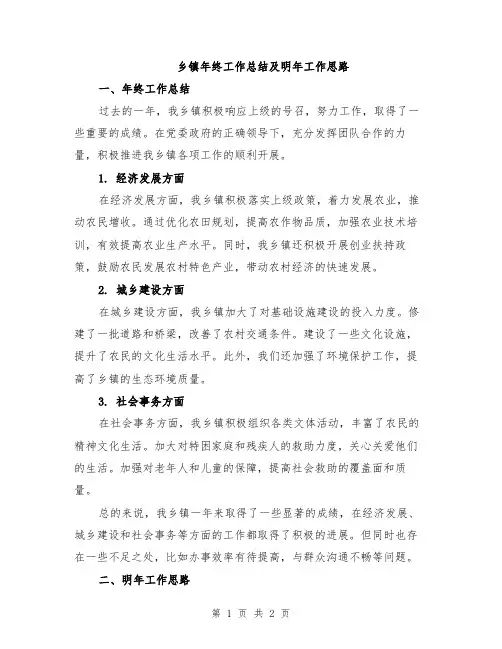 乡镇年终工作总结及明年工作思路
