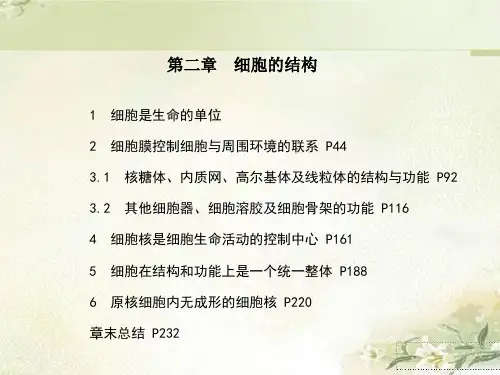 新教材浙科版高中生物必修1分子与细胞第二章细胞的结构 精品教学课件