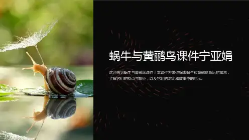 蜗牛与黄鹂鸟课件宁亚娟