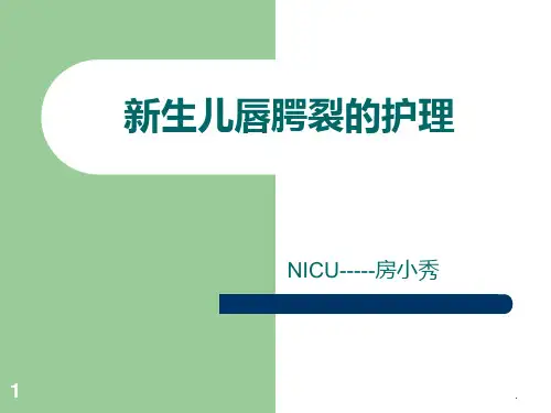 新生儿先天性腭裂的护理PPT课件