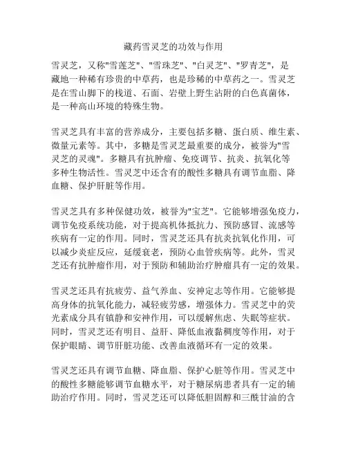 藏药雪灵芝的功效与作用