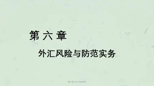 第六章-外汇风险防范课件
