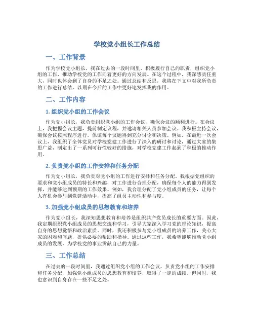 学校党小组长工作总结