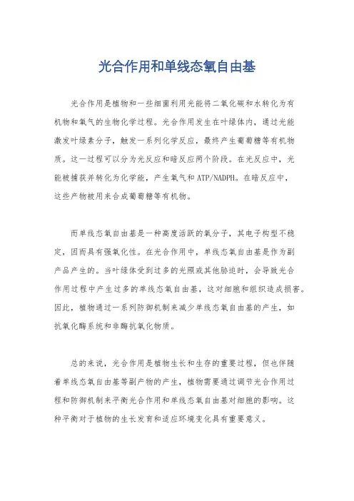 光合作用和单线态氧自由基