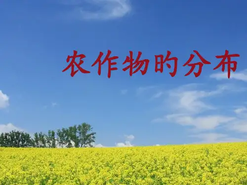 农作物的分布