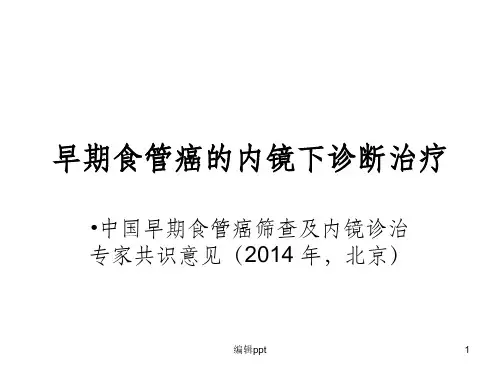 早期食管癌内镜下诊断