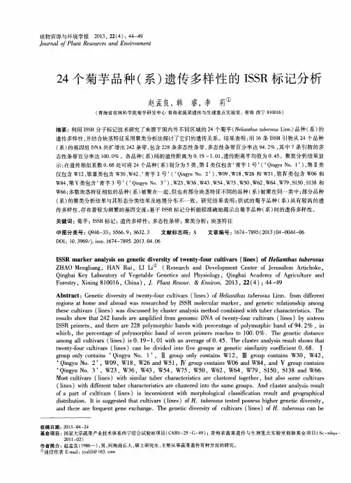 24个菊芋品种(系)遗传多样性的ISSR标记分析