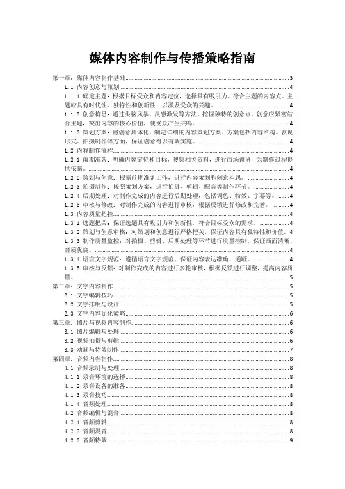 媒体内容制作与传播策略指南