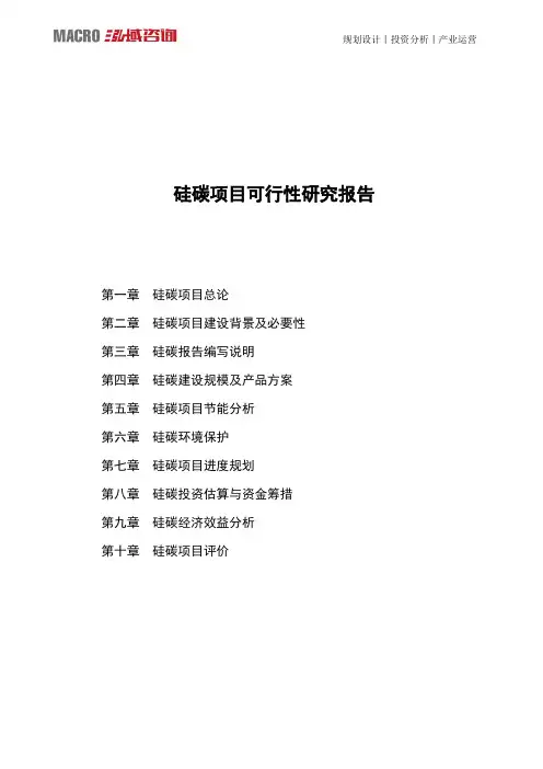 硅碳项目可行性研究报告