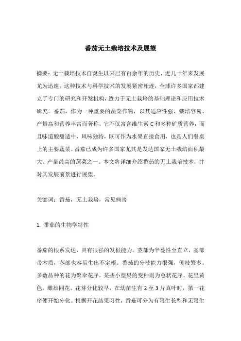 番茄无土栽培技术及展望