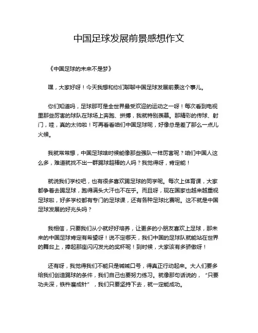 中国足球发展前景感想作文