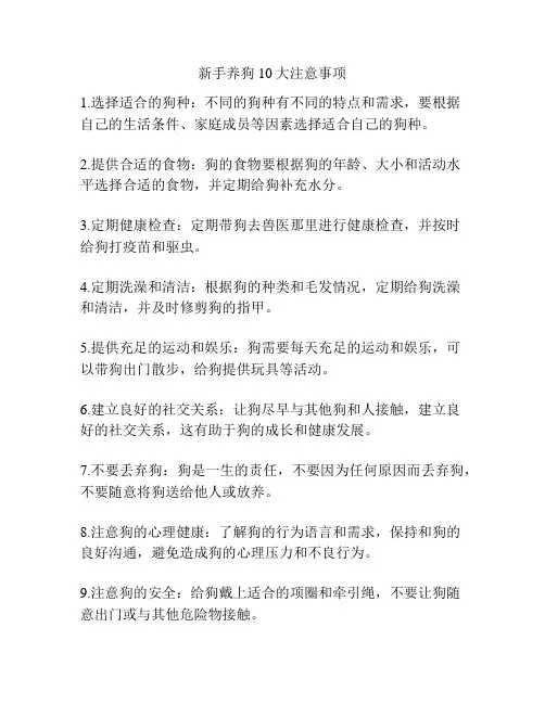 新手养狗10大注意事项