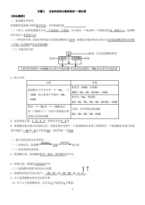 专题03   蛋白质