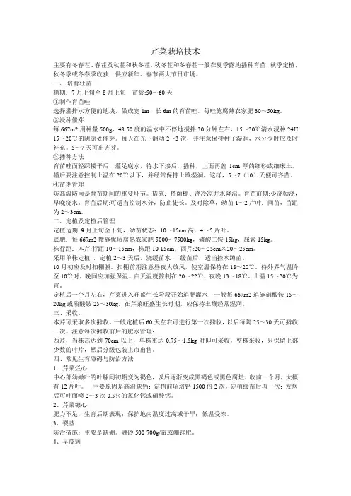 芹菜栽培技术