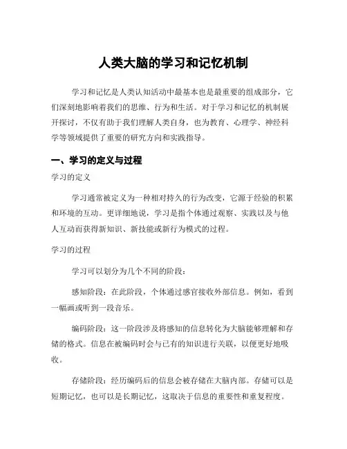 人类大脑的学习和记忆机制