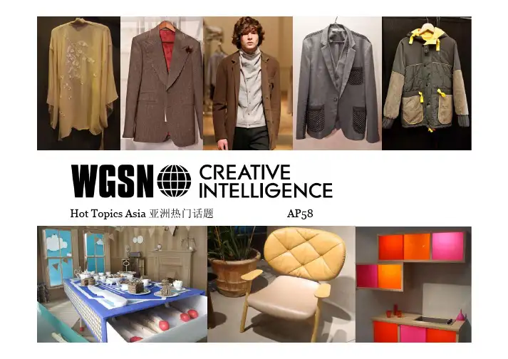 2011-2012年WGSN发布流行趋势7