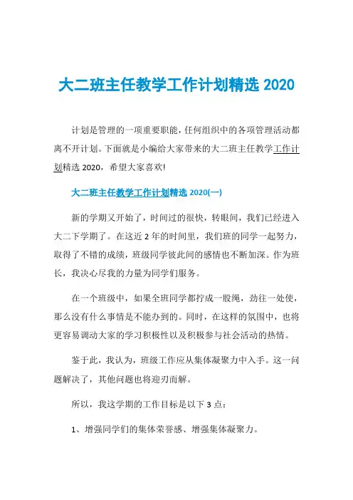 大二班主任教学工作计划精选2020