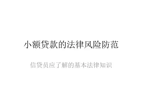 小额贷款的法律风险防范课件